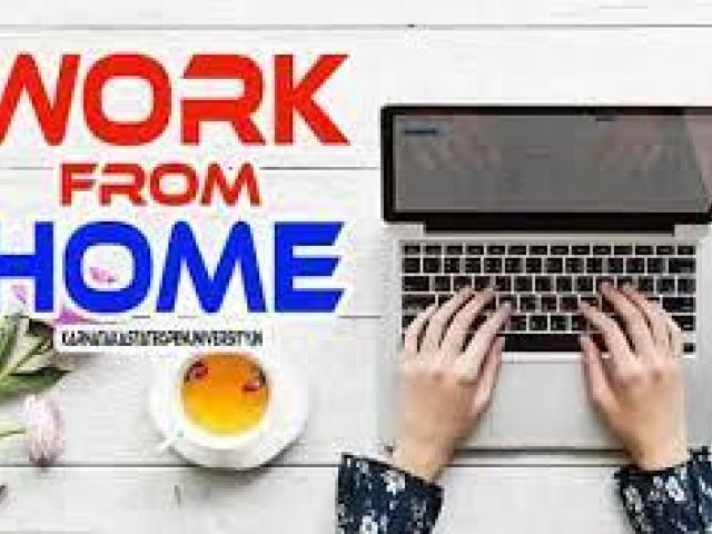 Work from Home: Data Entry Opportunity