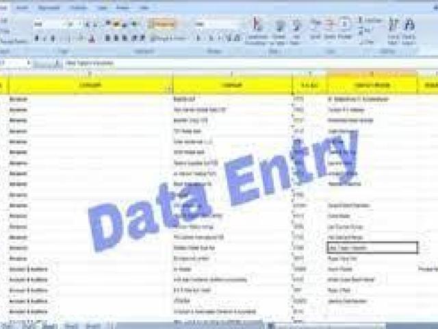 New Data Entry Project Launch - Contact Immediately