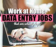 Work From Home Filling Data Entry Project | Apply Today